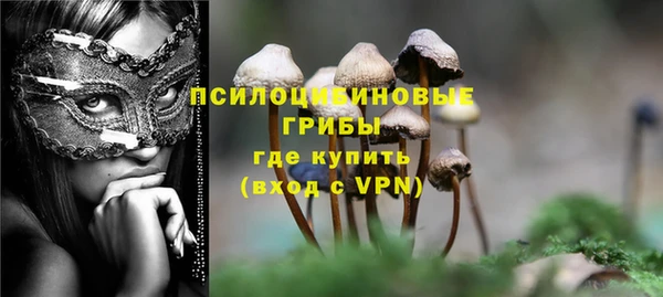 тгк Нефтекумск