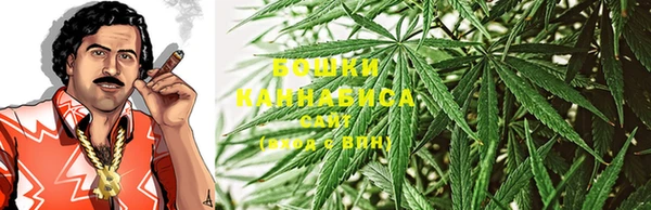 гидра Нея
