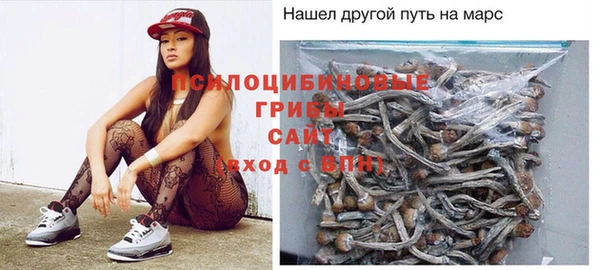 гидра Нея